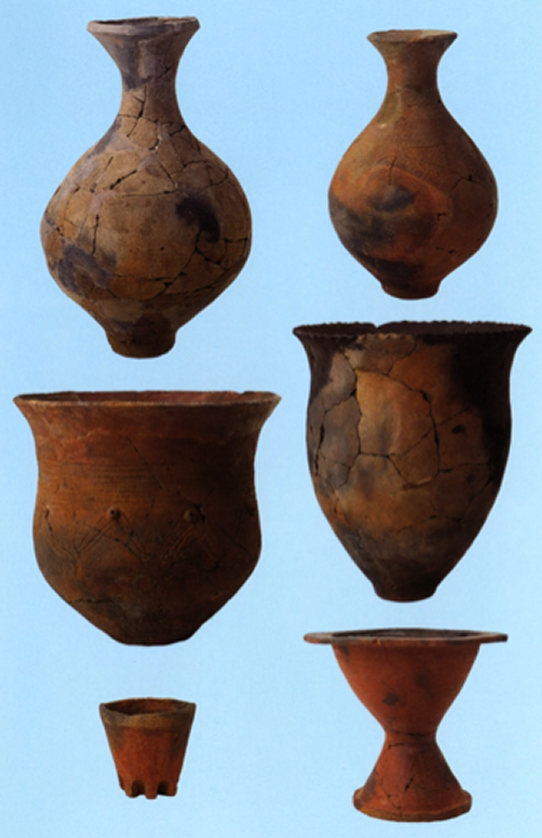 写真２　弥生時代中期後葉の土器